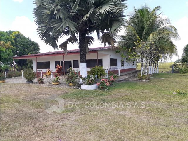 place photo 65