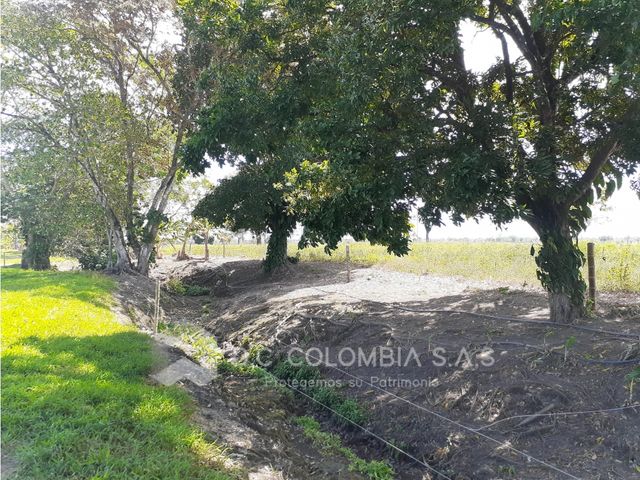 place photo 34