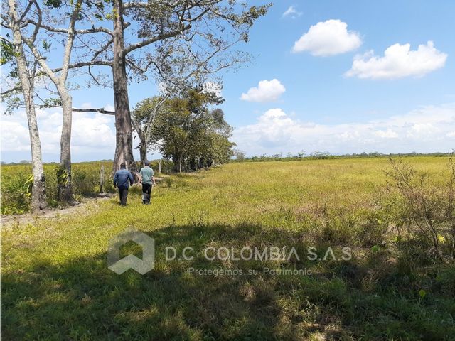 place photo 63