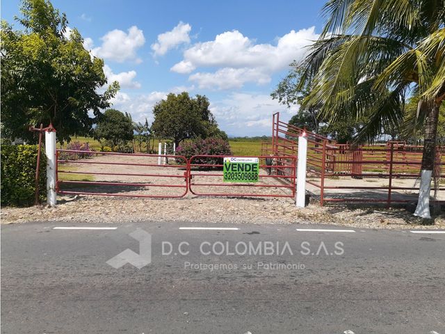 place photo 40