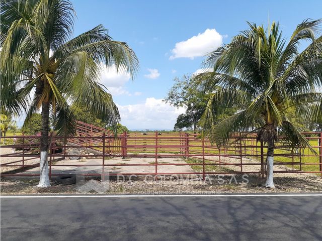 place photo 57
