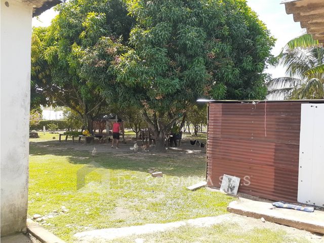 place photo 30