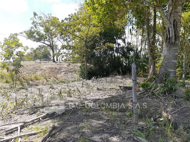 place photo 61
