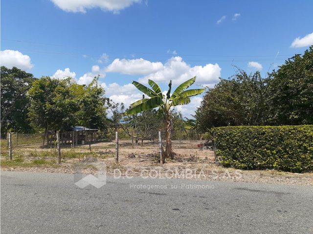 place photo 66