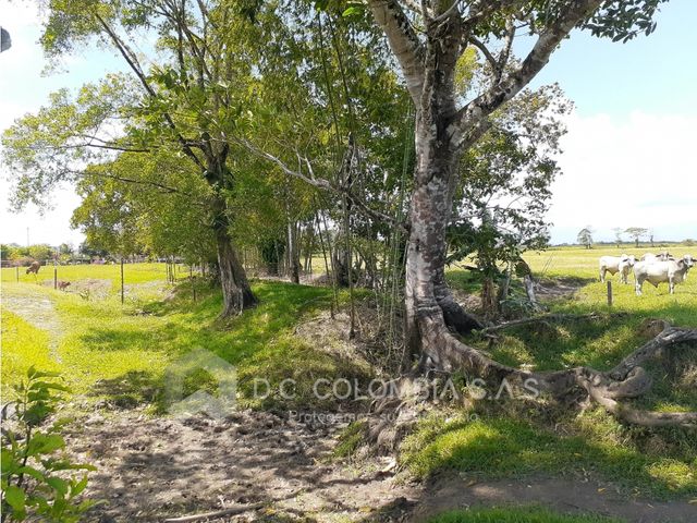 place photo 47