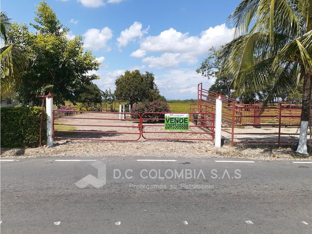 place photo 29