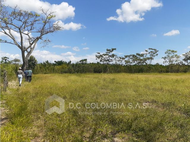 place photo 43