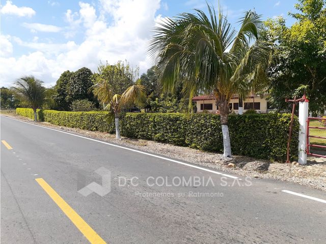 place photo 25