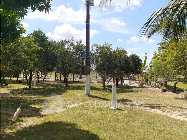 place photo 56