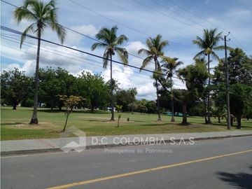 place photo 37