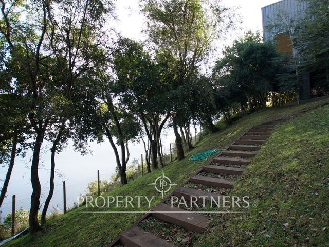place photo 39