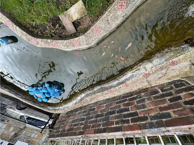 place photo 44