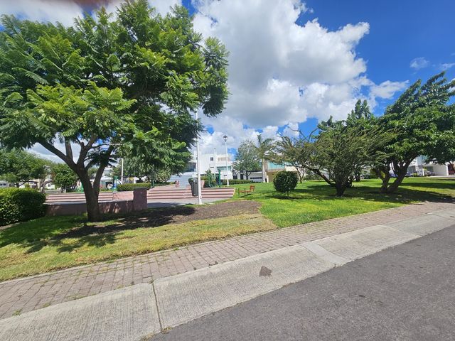 place photo 28