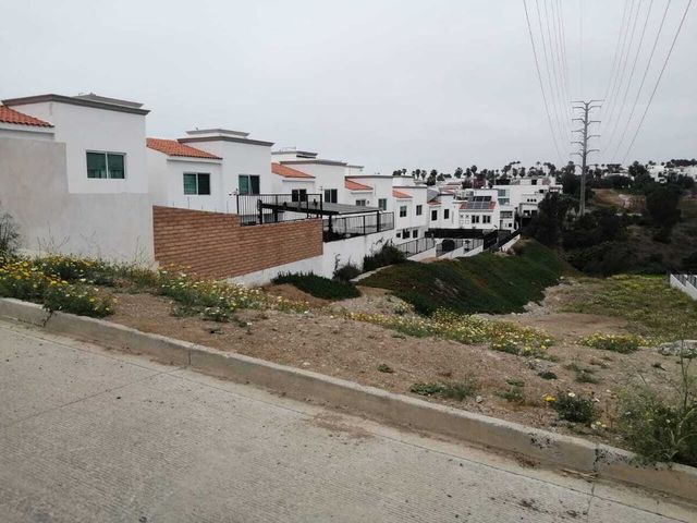 place photo 50