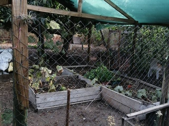 place photo 41