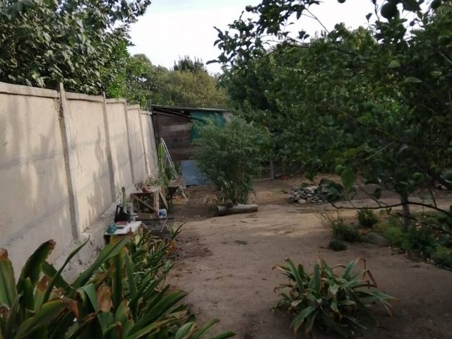 place photo 36