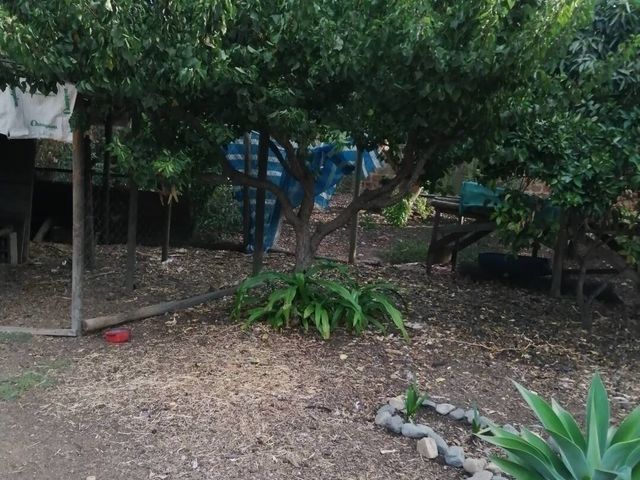 place photo 39