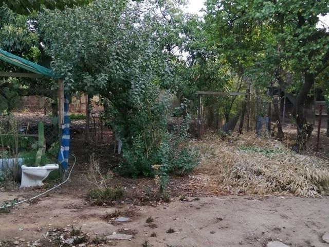 place photo 46