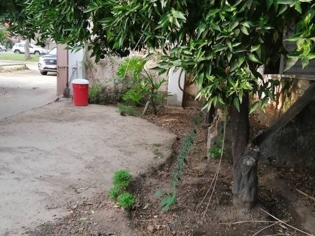 place photo 33
