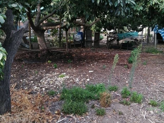 place photo 51