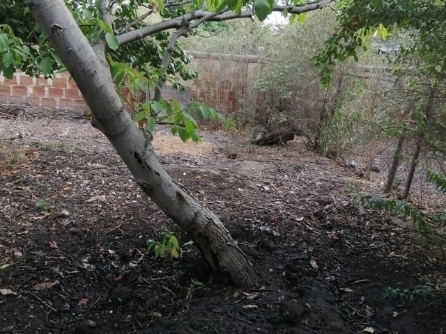 place photo 50