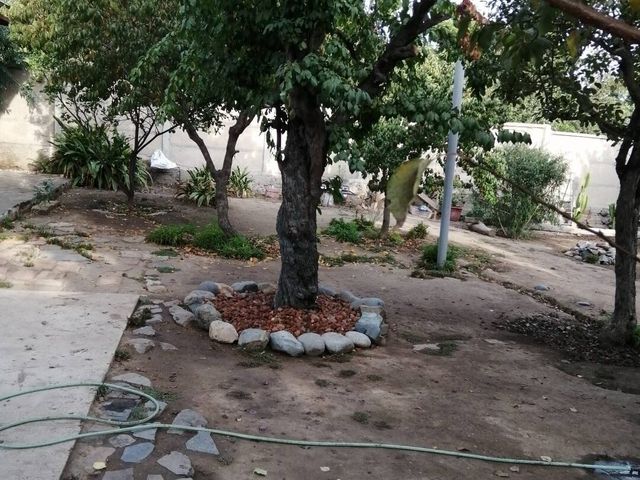 place photo 47