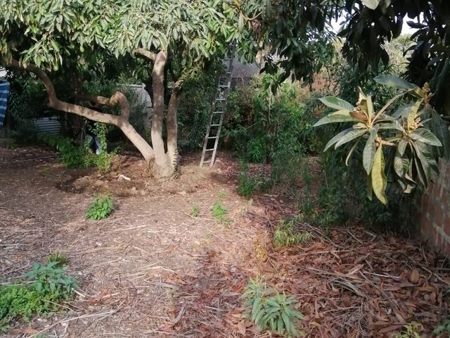 place photo 52