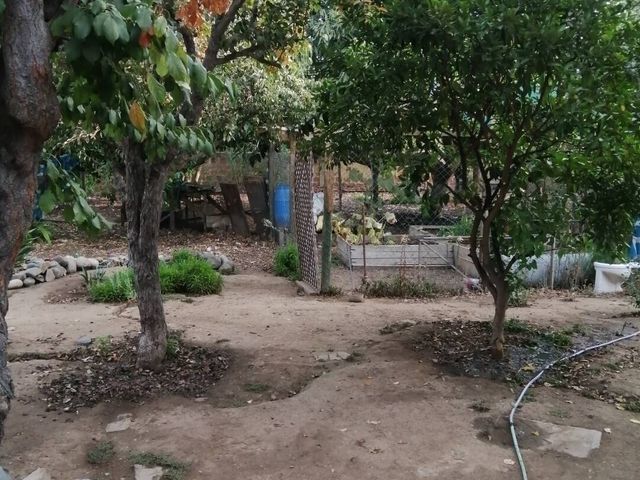 place photo 44