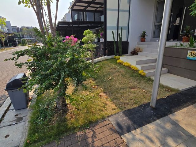 place photo 7