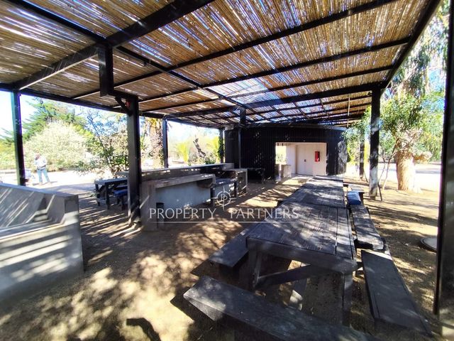 place photo 36