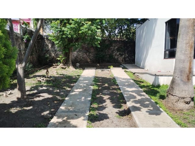 place photo 28