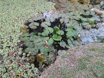 place photo 28