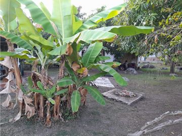 place photo 39