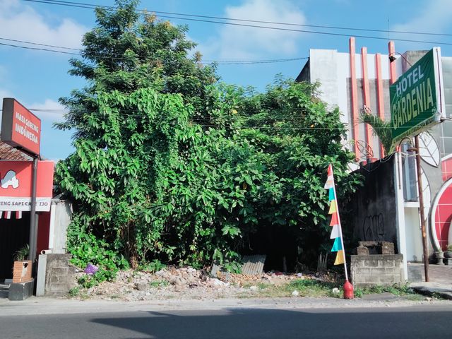 place photo 5