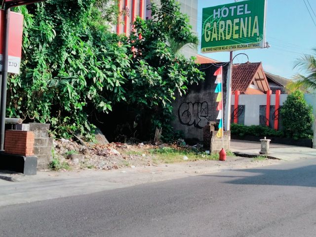 place photo 6