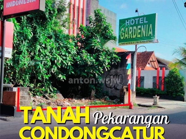 place photo 1