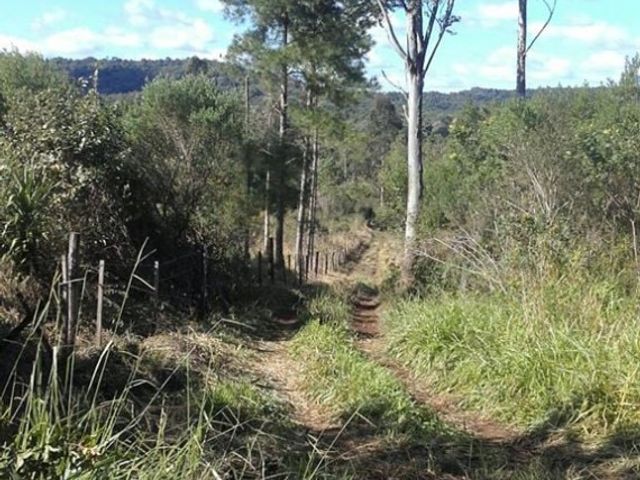 place photo 33