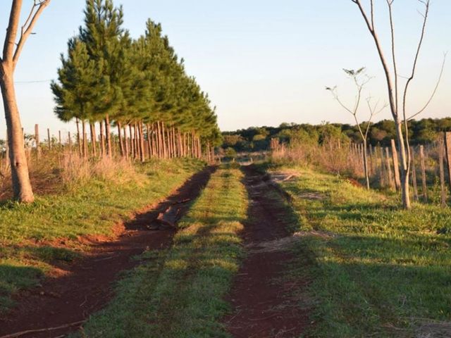 place photo 32