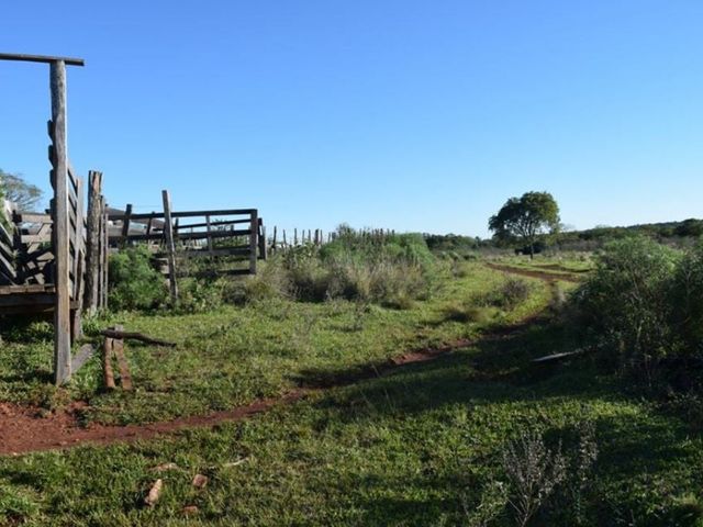 place photo 30
