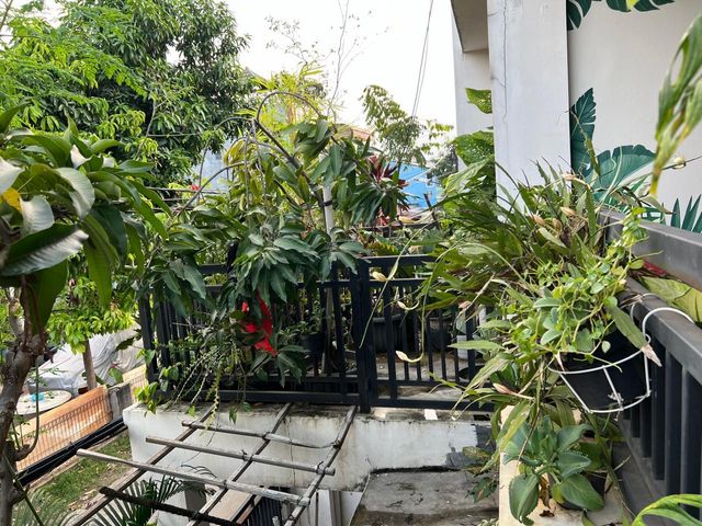place photo 40