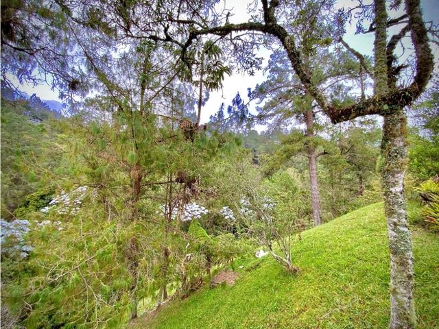 place photo 75