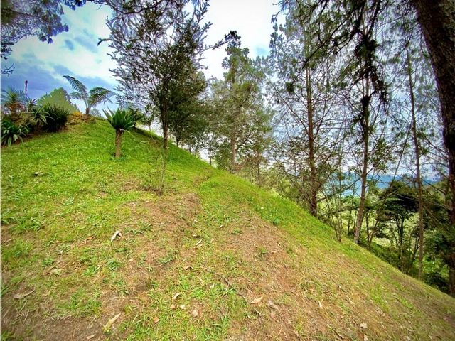 place photo 66