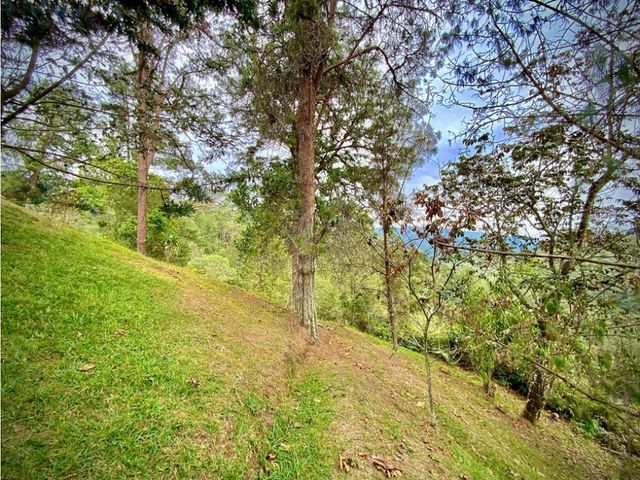 place photo 68