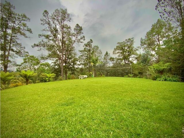 place photo 77