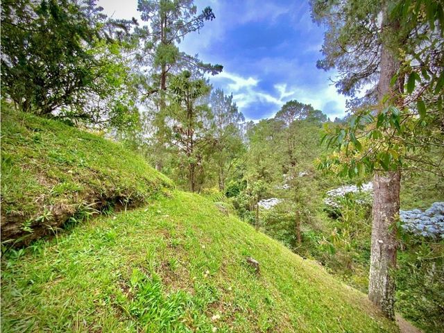 place photo 73