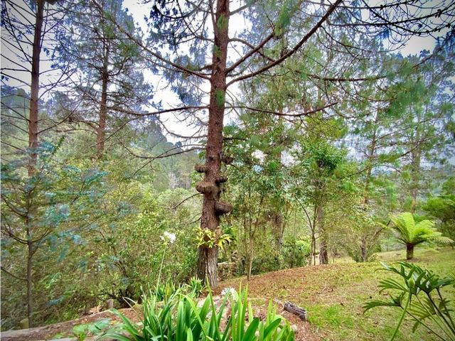 place photo 76