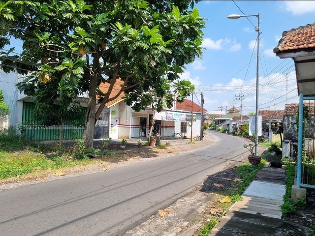 place photo 6