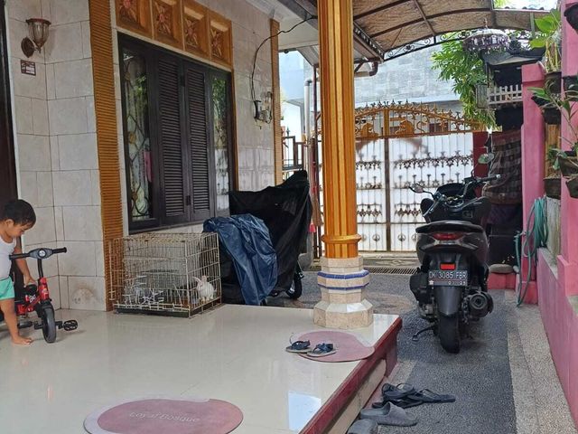 place photo 11
