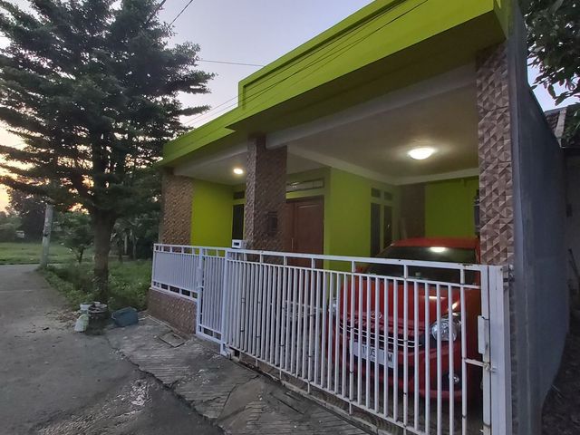 place photo 12