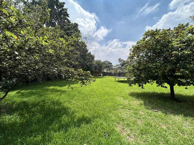 place photo 45
